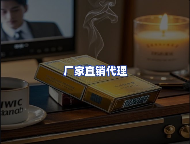 专业团队